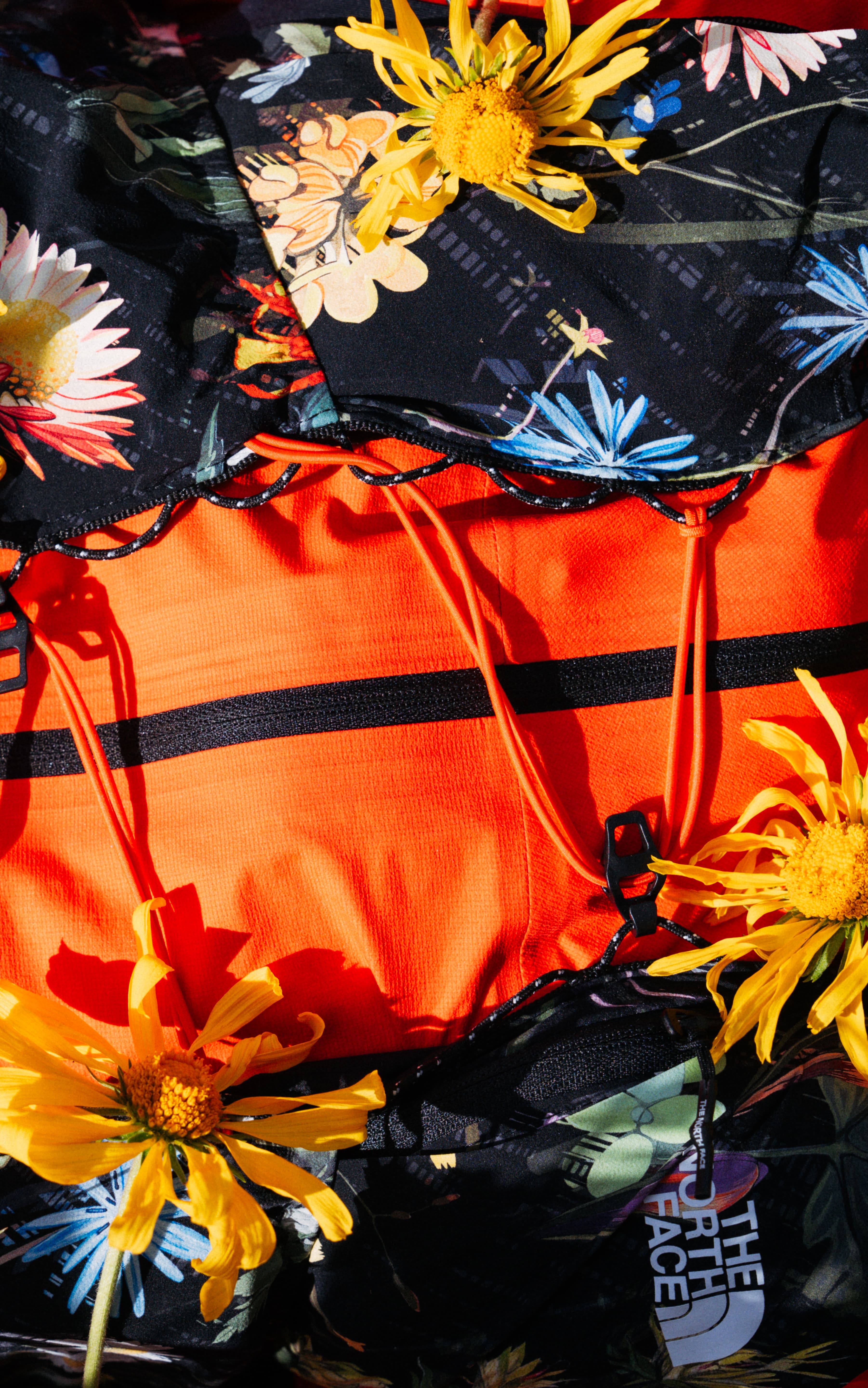 Peregrine 15 Gesso - top view