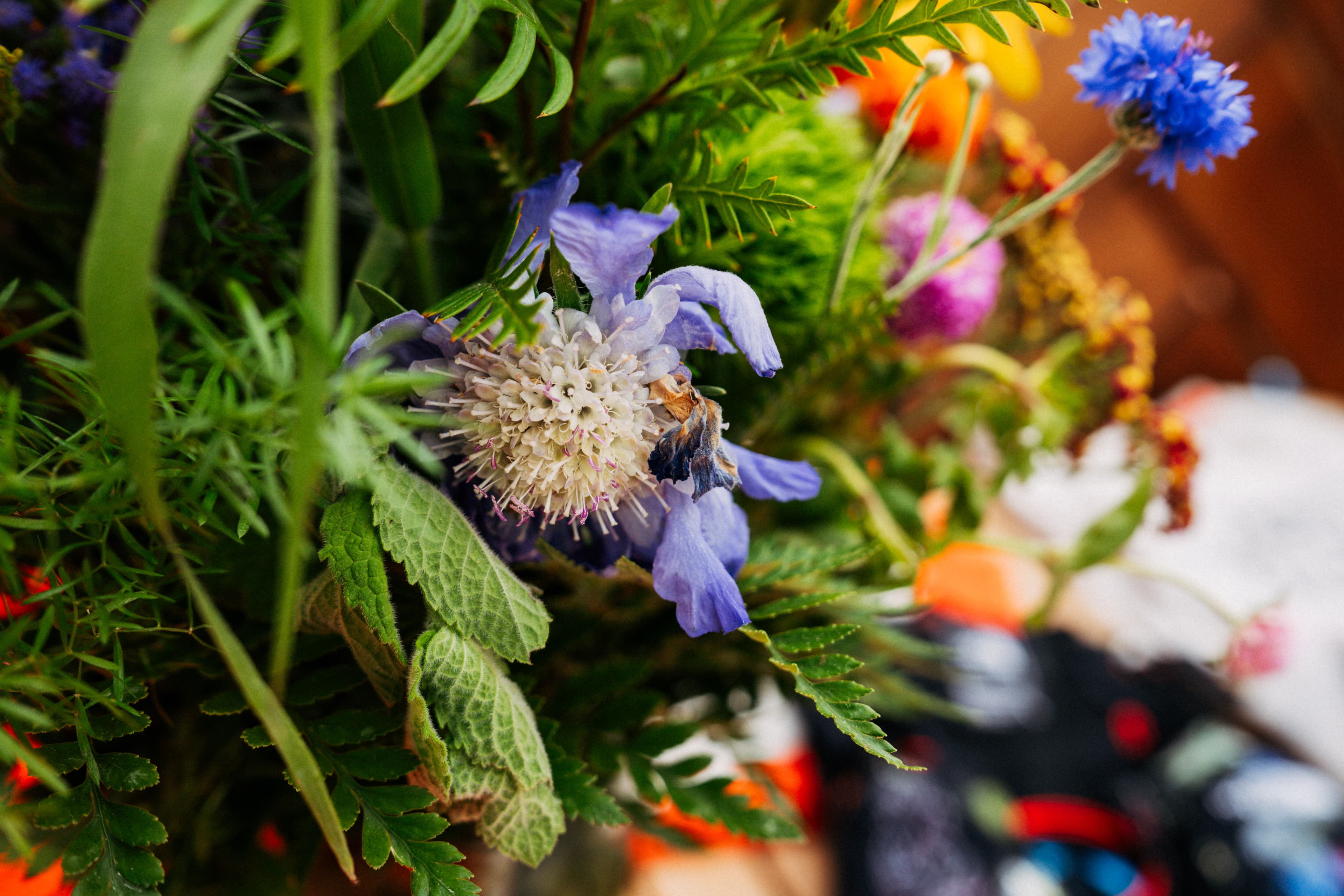 Peregrine 15 Gesso - outsole