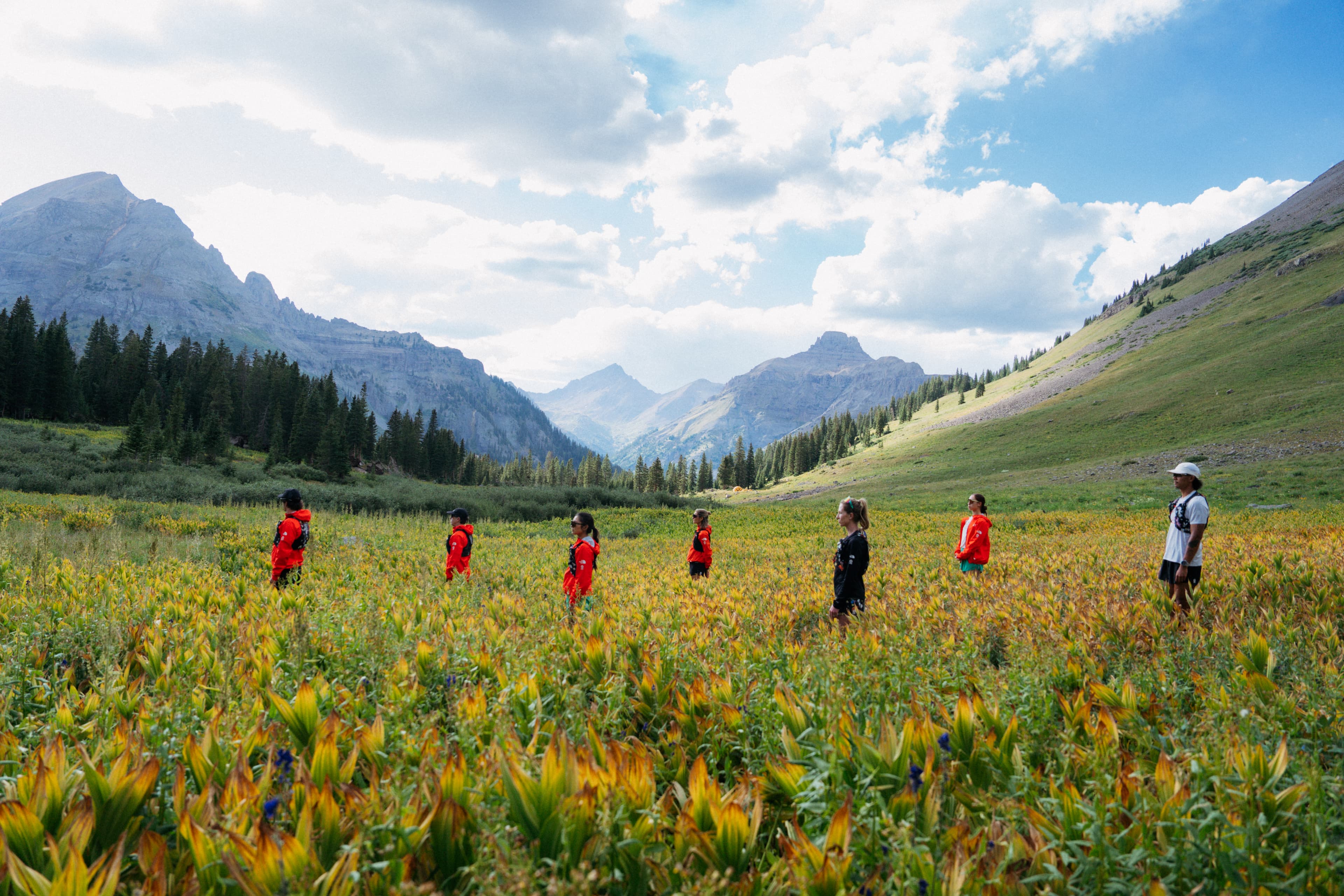 Peregrine 15 Gesso - outsole